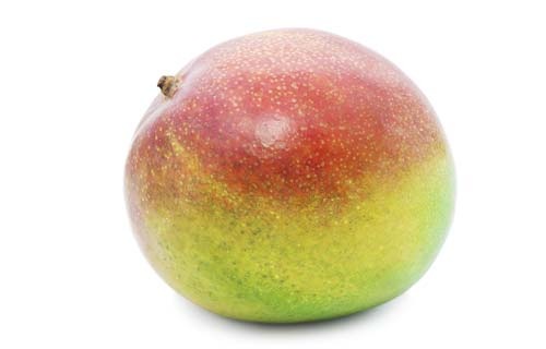 Afrikansk Mango